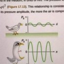 경기도 수원시 팔달구 세지로244번길 이미지
