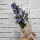 역전우동0410 경산영남대점 이미지