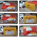 식이네농장 이미지