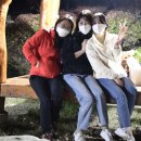 봉화황토테마파크 이미지