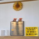 햇살손만두 네이버블로그