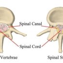 닥터송제통의원 이미지