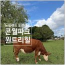 경은농장 | 오클랜드 콘월파크 원트리힐 Cornwall Park One Tree Hill 뚜벅이 후기