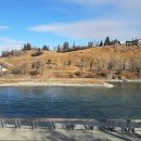 다운타운 이미지