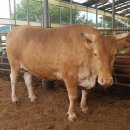 소로3-39 이미지