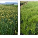 우호축산 이미지