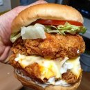 버거플렉스 이미지