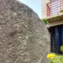 영랑호 북측 이미지