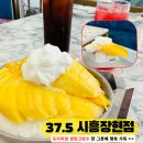 황고개로 | 시흥 장곡동 빙수 맛집｜프리미엄 생망고빙수 37.5 시흥장현점 후기