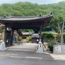 본 죽&비빔밥 서울의료원점 다이닝코드