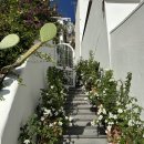 빌라 포지타노 이미지