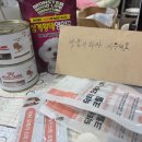 숙이추어탕