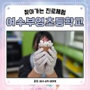 부영초등학교 | #여수부영초등학교 #찾아가는 #진로체험