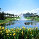 세이브투어 이미지