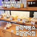 유기농밀가루로 만든 포항베이커리맛집 블럭제빵소 포항양덕점