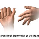 대세당한의원 이미지