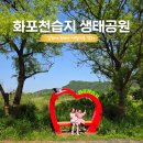 김해 화포천습지 생태학습관 | 김해 아이와 화포천습지 생태공원 박물관 자연을 느껴요