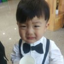 마망 엘리펀트 이미지