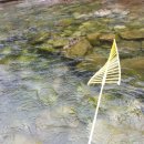 38야영장 이미지