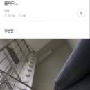 네일도지은