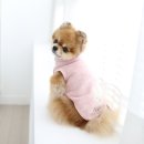 플러피독 이미지