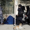 En Afghanistan, les études supérieures interdites aux femmes, la communauté 이미지