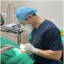 행복플란트치과의원 이미지