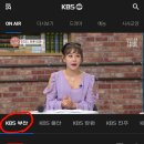 가수님 부산 아침마당 출연 부산KBS 온에어 링크 이미지