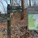 (여행.트레킹) 진짜 순금으로 지어진 사찰 수국사 /외국인도 소원 빌러 오는 인기 명소 이미지