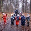 숲속유치원 이미지