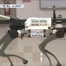 guide dog 이미지