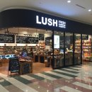 러쉬(LUSH) 이미지