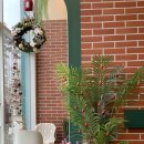 까치다방 이미지