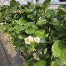 송림어린이집 이미지