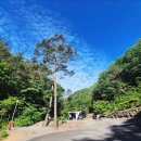 포시즌 | 횡성 오토캠핑장 포시즌파크캠핑장 후기