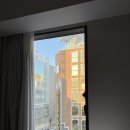 실룩실룩 - 강남구 압구정로29길 69 | [3월의 삿포로] 3일차 - 돈키호테 웨이팅 없는 꿀팁, 니조시장 카이센동, 스프카레 맛집, 조잔케이...
