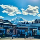 하나샘투어 | 일본 도쿄 후지산 투어 당일치기 버스투어 추천 후기