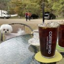 동해분교 이미지