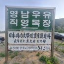 영남목장 이미지