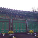 서울승마힐링캠프 이미지