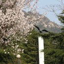 웅비의 탑 이미지