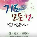 구원의 기쁜소식 949호 이미지