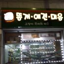 더봄애견 이미지