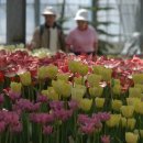 천하세탁소 이미지