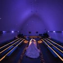 강남-014 | W.014 | 드레스가든 청담 웨딩홀 2026년 상반기 계약후기 💐