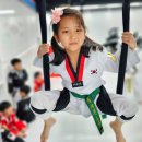 경희대 품태권도장 | 옥정동 유아 태권도 적극 추천해요