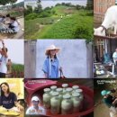 가구목장 이미지