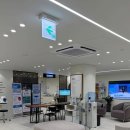 김동현내과의원 | 길고양이 물림 후 파상풍 주사 맞은 후기 &amp; 부산 병원 비용