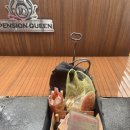 목천안경 이미지