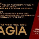 마지아헤어 이미지